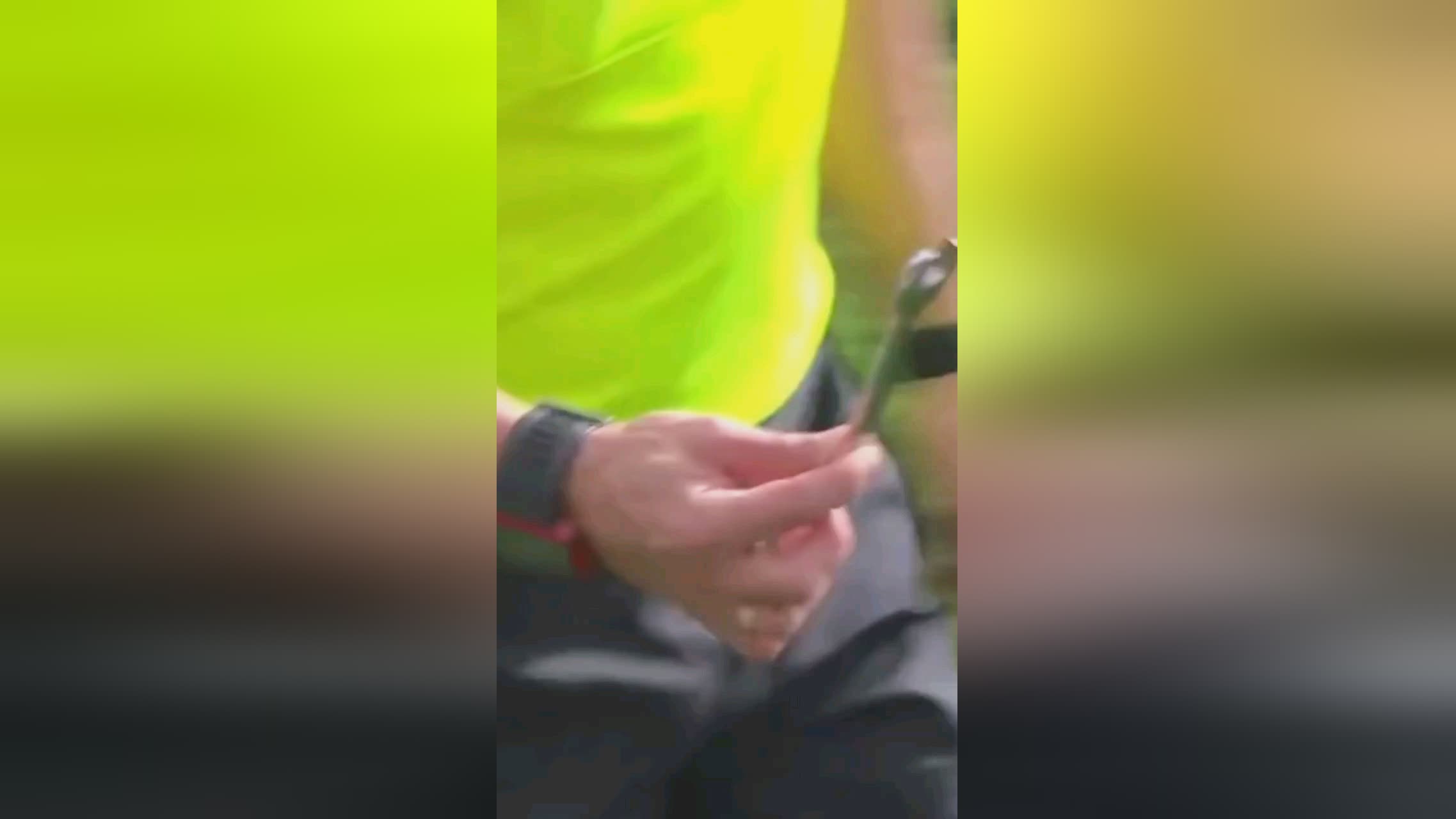 近年来的足